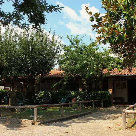 La Dimora Degli Etruschi Civitella Cesi