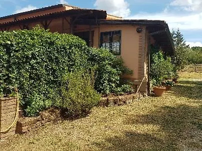 La Dimora Degli Etruschi *